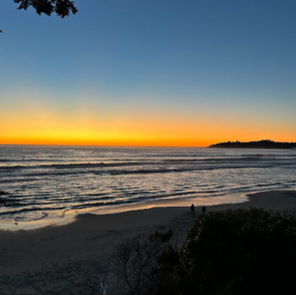 Meet your Posher, Riley - Picture 1 of 1